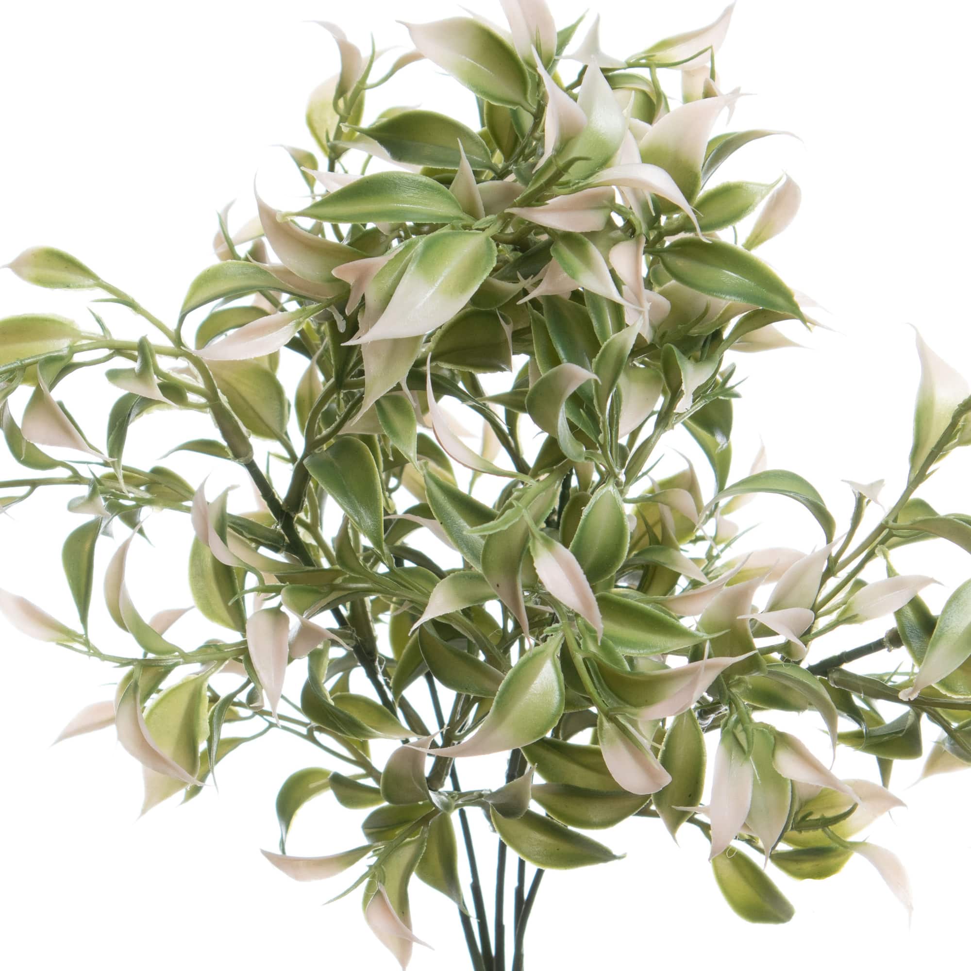 13" Ruscus Bush by Ashland